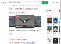 东北网友拍下燕子滞留未南飞_360搜索