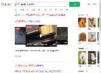 避让未牵绳贵宾犬致9级伤残_360搜索