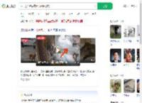 猴子抢面包后携猴群组团抢店_360搜索