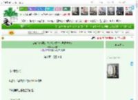《404绝密档案：我的胎记只对世界漏洞发烫》可乐橙C　^第10章^ 最新更新:2025-12-18 18:18:56 晋江文学城