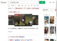 男子为自拍被野象抽打踩死_360搜索