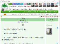 《人间悦己》南知意Nanzy　^第12章^ 最新更新:2025-12-20 07:00:00 晋江文学城