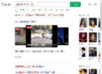 全程喊刹车没阻止妻子撞人_360搜索