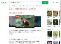 男子非法捕捉14只画眉鸟获刑_360搜索