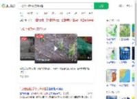 气象台回应绥化突降冰雹_360搜索