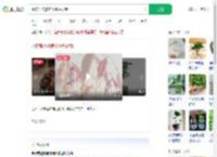 水培荔枝核养出粉色盆栽_360搜索