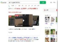 反锁公用门遭撬锁宠物猫被扔_360搜索