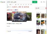 夫妻吃来偷柑橘的竹鼠后肺炎_360搜索