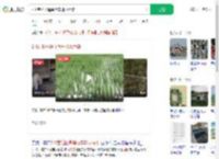 210亩稻田遭粪污车排水污染_360搜索