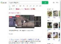 饲主摸250斤鸵鸟被踹飞_360搜索