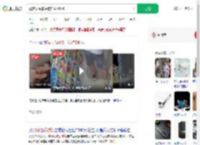 顾客误踩猫尾被挠获赔590_360搜索