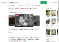 遗弃3狗崽放宠物店门口_360搜索
