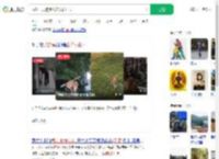 武汉一只狗练出神入化棍法_360搜索