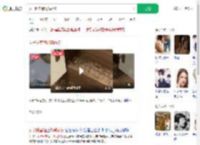 女子卧室墙爬满蚂蚁_360搜索