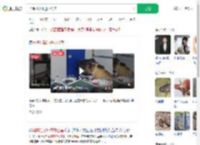马熊打架冲进办公室_360搜索