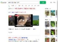 踩到打架的竹叶青和五步蛇_360搜索