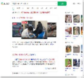 流浪狗1小时咬伤4人被打死_360搜索