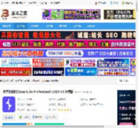 Burp Suite Pro免费下载 渗透测试软件Burp Suite Professional v2025.4.5 免费版 下载-脚本之家
