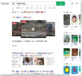 黑独山下冰雹游客喊退票_360搜索