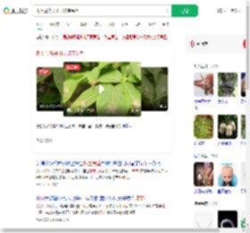 树上竟然开出了珠宝吊坠_360搜索