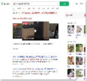 反锁公用门遭撬锁宠物猫被扔_360搜索