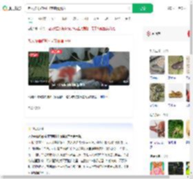 老人被毒蛇咬打4支血清脱险_360搜索
