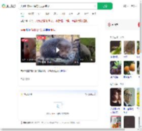 夫妻吃来偷柑橘的竹鼠后肺炎_360搜索