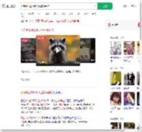 小浣熊出逃50多天后车祸受伤_360搜索