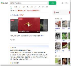 蜘蛛背上花纹酷似人脸_360搜索