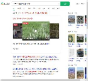 210亩稻田遭粪污车排水污染_360搜索