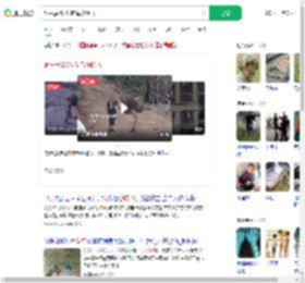 饲主摸250斤鸵鸟被踹飞_360搜索
