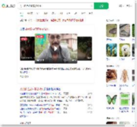 男子脖挂蛇骑车被咬死_360搜索