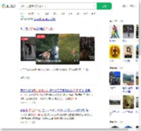 武汉一只狗练出神入化棍法_360搜索