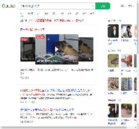 马熊打架冲进办公室_360搜索