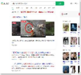 两狗大战眼镜蛇 狗主人观战_360搜索