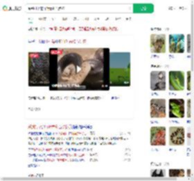 踩到打架的竹叶青和五步蛇_360搜索