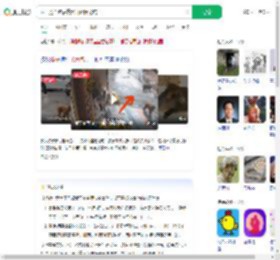 猴子抢面包后携猴群组团抢店_360搜索