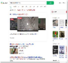 鹦鹉发飙拆家堪比二哈_360搜索